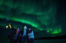 Rovaniemi Private Unlimited Range Northern Lights Hunt VIP Van