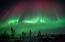 Rovaniemi Private Unlimited Range Northern Lights Hunt VIP Van