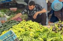 Marrakech: Atlas Mountains, private tour to berber vellages 