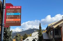 Full Day Private Tour of Whistler & Shannon Falls
