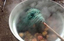 Hands-on Weaving Experience with Natural Dyes in Oaxaca