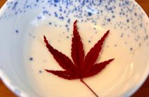 Private Morning Meditation at Kyoto