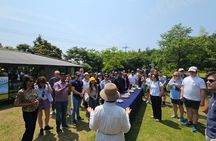 Jeju Adventure for Cruise Passengers with UNESCO Highlights 