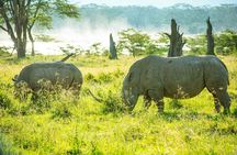 Lake Nakuru National Park Guided Day Tour from Nairobi