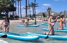 Paddle SUP Course in Alcudia