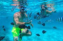 Mnemba Island Dolphin and Snorkeling Tour