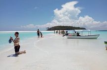 Mnemba Island Dolphin and Snorkeling Tour