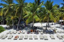 Saona Island: Full-day Catamaran Tour - Small Group