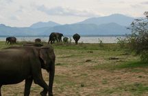 Udawalawe National Park Day trip 