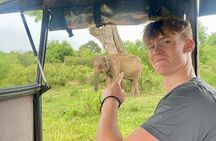 Udawalawe National Park Day trip 