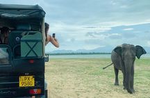Udawalawe National Park Day trip 