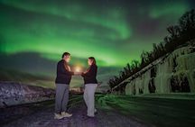 AURORA DAİLY Northern Lights Safari Tour 8Guest FREE photo+PİCKUP