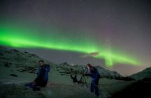AURORA DAİLY Northern Lights Safari Tour 8Guest FREE photo+PİCKUP
