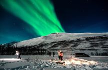 AURORA DAİLY Northern Lights Safari Tour 8Guest FREE photo+PİCKUP