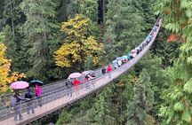 Capilano Suspension Bridge and Grouse Mountain Signature Tour