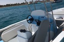 Private Dolphin Watching and Snorkeling Adventure