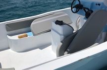 Private Dolphin Watching and Snorkeling Adventure