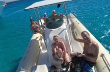 Private Speed Boat Dolphin Watching and Snorkeling Adventure