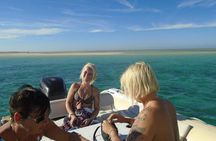 Private Speed Boat Dolphin Watching and Snorkeling Adventure