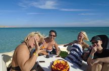Private Speed Boat Dolphin Watching and Snorkeling Adventure