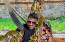 Monkey Sanctuary, Cenote & Plantation Tour in Punta Cana