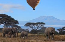 Amboseli National Park Day Trip: Elephants and Kilimanjaro Views