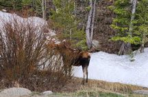 Winter on the Rocks adventure tour with smores