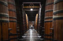 Cousino Macul Private Vineyard Tour with 6 Wine Tastings