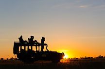 Chobe Day Trip with Lunch from Victoria Falls