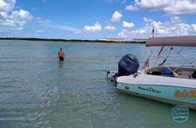 3-Hour Clearwater Beach Adventure – Dolphins, Sandbars & Sunshine