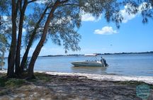 3-Hour Clearwater Beach Adventure – Dolphins, Sandbars & Sunshine