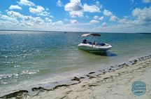 3-Hour Clearwater Beach Adventure – Dolphins, Sandbars & Sunshine