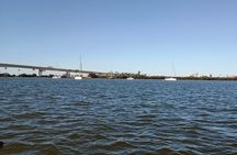 Clearwater 5-Hour Private Boat Charter – Dolphins & Island Hops