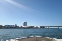 Clearwater 5-Hour Private Boat Charter – Dolphins & Island Hops