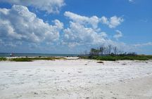 5-Hour Private Clearwater Adventure – Islands & Wildlife