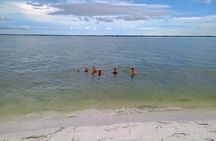 5-Hour Private Clearwater Adventure – Islands & Wildlife