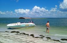 5-Hour Private Clearwater Adventure – Islands & Wildlife