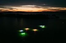Seafood Sunset Paddle Tour on Lake Macquarie
