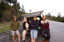 Jeffreys Bay Garden Route 6 Day Surf and Adventure Tour package