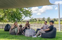 Marlborough Afternoon Wine Tour Taste Local Wines