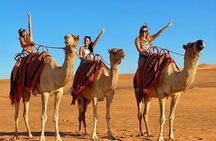 Dubai Desert Safari Camels with Dune Bashing and BBQ Dinner