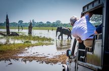8-Days Sri Lanka Tour | Luxury Hotels, Breakfast & Private Car
