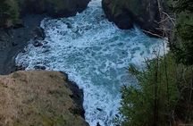 All Inclusive Private Coastal Road Trip from Washington to Oregon