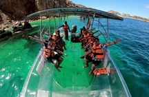 Cabo San Lucas Arc Transparent Boat Tour
