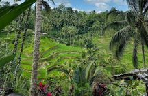 Ubud Hidden Wonders A Day in Balis Heart