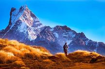 From Pokhara:4-Day Mardi Himal Odyssey to the Himalayan Base Camp