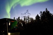 Northern Lights Bus Tour