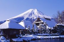 Mount Fuji Panoramic Day Trip from Tokyo