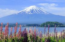 Mount Fuji Panoramic Day Trip from Tokyo