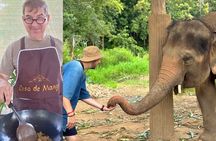 Thai Cooking Class and Elephant Sanctuary: From Market to Forest